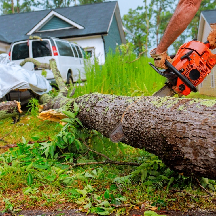 Restoration Services in Cypress, TX