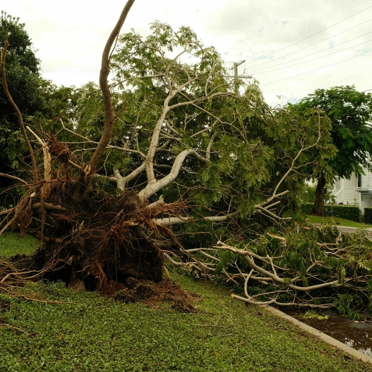 Restoration Services in Cypress, TX