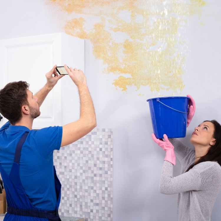 Restoration Services in Cypress, TX