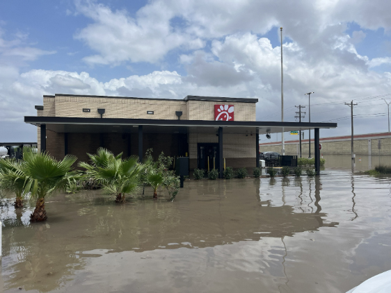 Water Removal vs. Restoration: What Houston Homeowners Need to Know